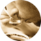 Stacy Hawkins Avatar