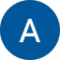 Amanda Wells Avatar