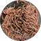 Nusoil Worm Farm Avatar