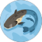 Melanie Wolf-Hall Avatar