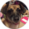 Torrie catano Avatar